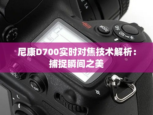 尼康D700实时对焦技术解析：捕捉瞬间之美