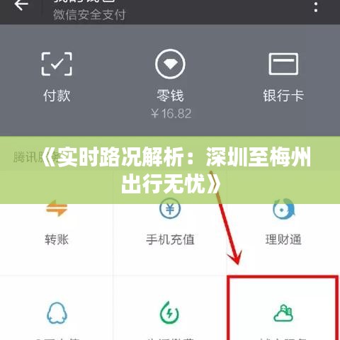 越鸟南栖 第3页