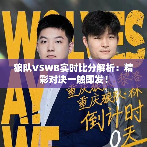 狼队VSWB实时比分解析：精彩对决一触即发！