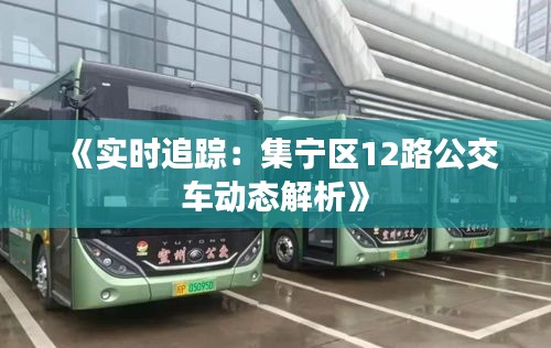 《实时追踪：集宁区12路公交车动态解析》