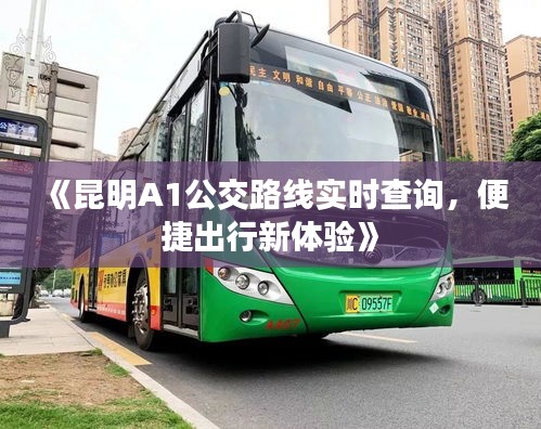 衣不兼采 第4页