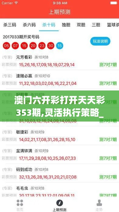 澳门六开彩打开天天彩353期,灵活执行策略_尊贵版10.809