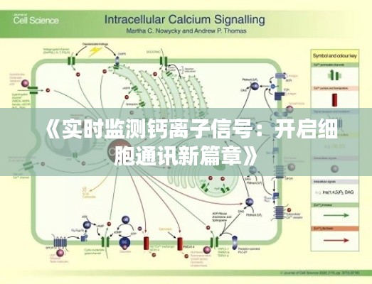 张冠李戴 第3页