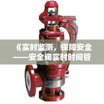 《实时监测，保障安全——安全阀实时时间管理解析》
