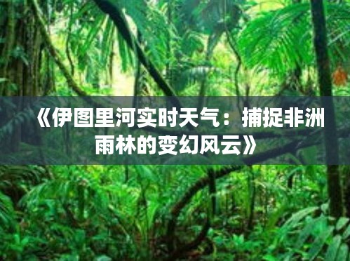 贵不可言 第3页