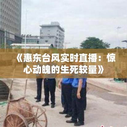 《惠东台风实时直播：惊心动魄的生死较量》