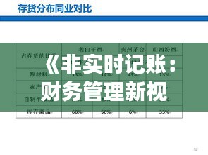 《非实时记账：财务管理新视角与策略》