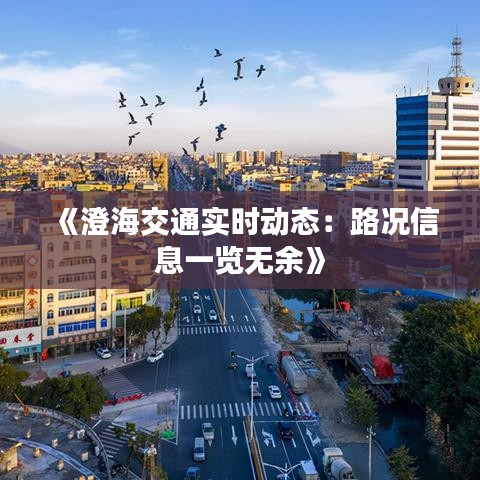 《澄海交通实时动态：路况信息一览无余》