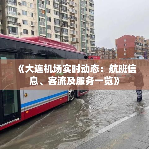 《大连机场实时动态：航班信息、客流及服务一览》