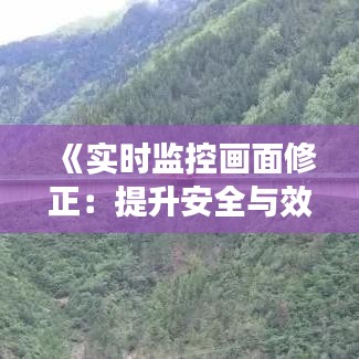 《实时监控画面修正：提升安全与效率的关键策略》