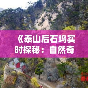 张灯结彩 第3页