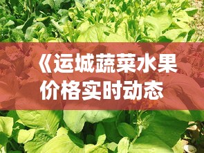 《运城蔬菜水果价格实时动态：市场行情一览无余》