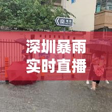 明目张胆 第3页