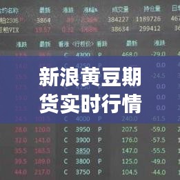 张张屈屈 第4页