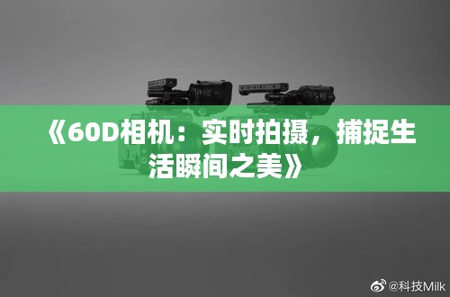 案例展示 第229页