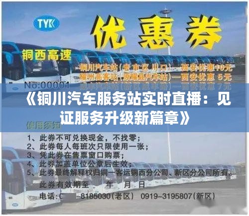 飞箭如蝗 第3页