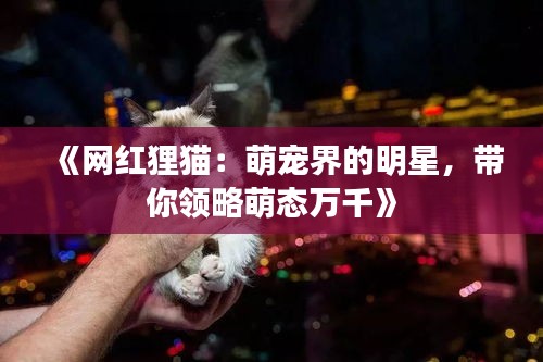 《网红狸猫：萌宠界的明星，带你领略萌态万千》