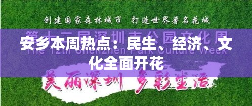 一毫不苟 第3页