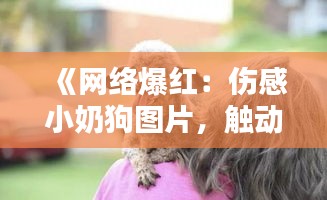 《网络爆红：伤感小奶狗图片，触动人心，引发共鸣》