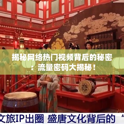 揭秘网络热门视频背后的秘密：流量密码大揭秘！