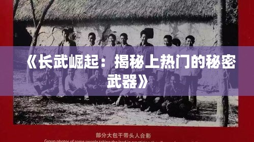 张皇铺饰 第3页