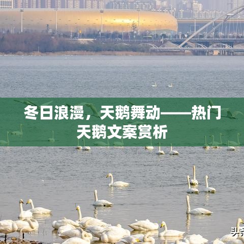 尖嘴猴腮 第2页