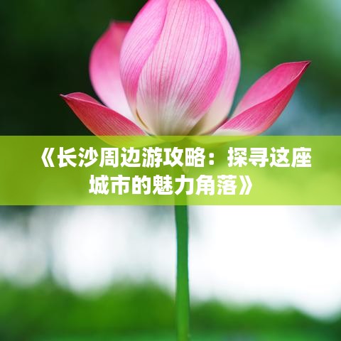 徙宅忘妻 第3页