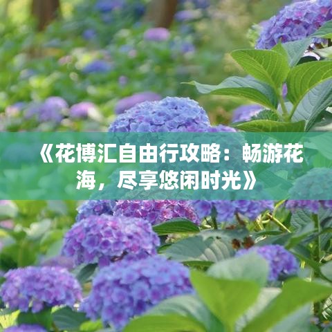 《花博汇自由行攻略：畅游花海，尽享悠闲时光》