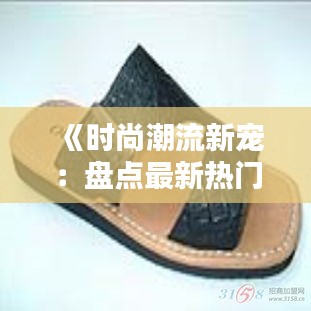 腾龙换鸟 第3页