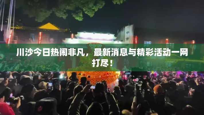 川沙今日热闹非凡，最新消息与精彩活动一网打尽！