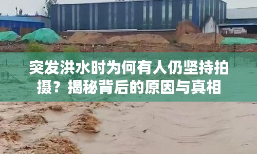 突发洪水时为何有人仍坚持拍摄？揭秘背后的原因与真相