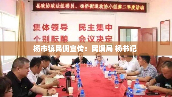 杨市镇民调宣传：民调局 杨书记 