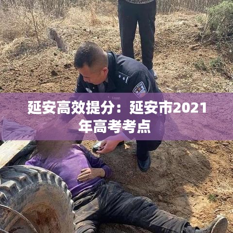 延安高效提分：延安市2021年高考考点 