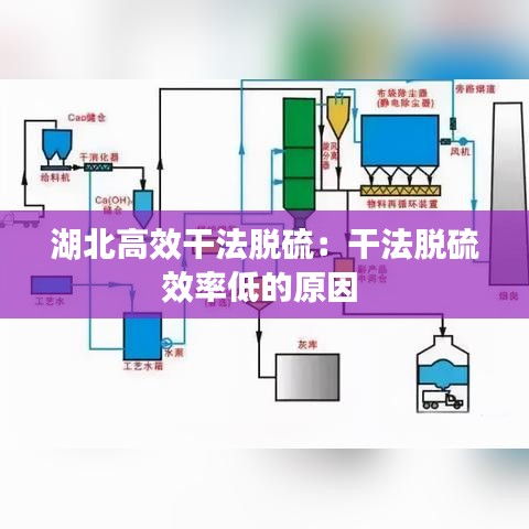 母以子贵 第2页