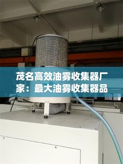 小家碧玉 第2页