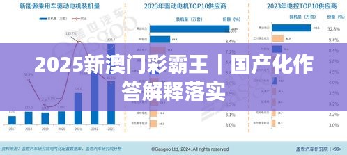 2025新澳门彩霸王｜国产化作答解释落实