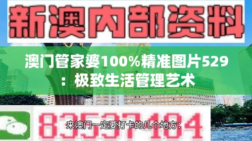 澳门管家婆100%精准图片529：极致生活管理艺术