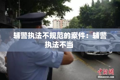辅警执法不规范的案件：辅警执法不当 