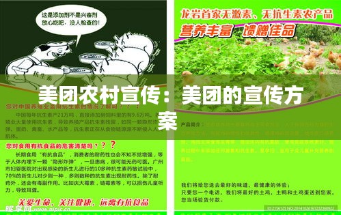 美团农村宣传：美团的宣传方案 