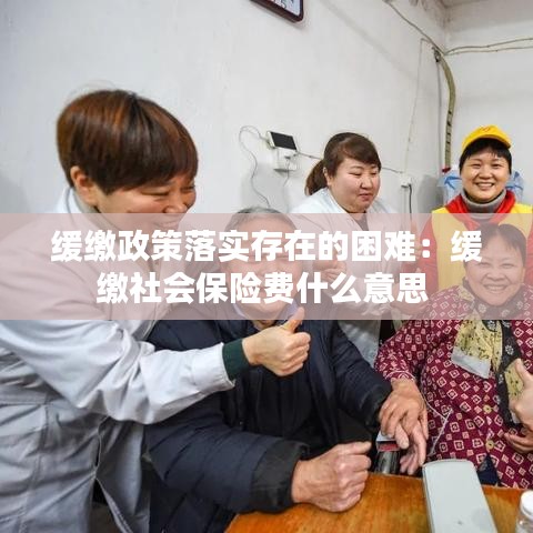 缓缴政策落实存在的困难：缓缴社会保险费什么意思 