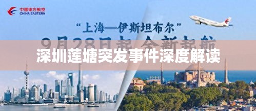 深圳莲塘突发事件深度解读