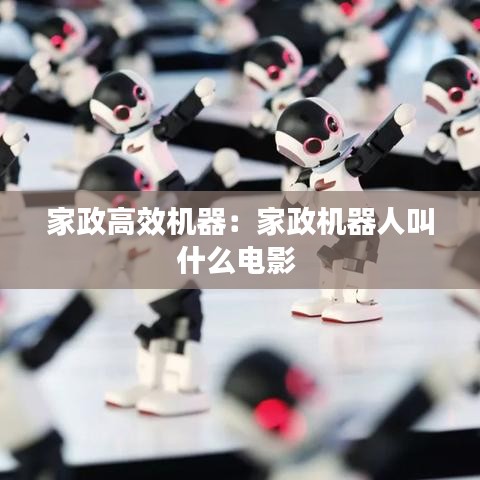 家政高效机器：家政机器人叫什么电影 