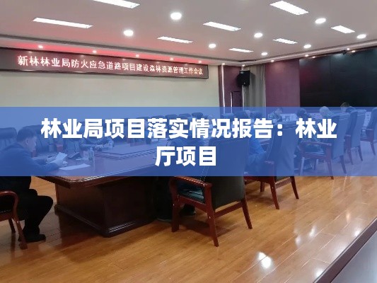 林业局项目落实情况报告：林业厅项目 