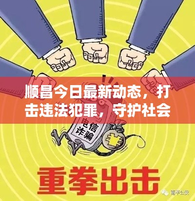 顺昌今日最新动态，打击违法犯罪，守护社会安定，实时更新消息查询！