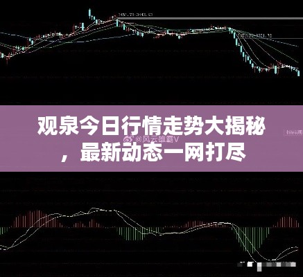 观泉今日行情走势大揭秘，最新动态一网打尽