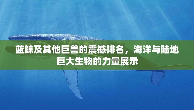 蓝鲸及其他巨兽的震撼排名，海洋与陆地巨大生物的力量展示