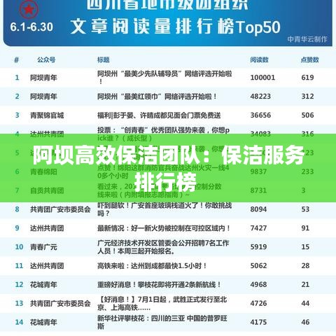 阿坝高效保洁团队：保洁服务排行榜 