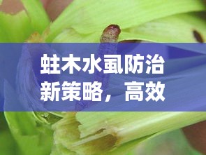 祖道供张 第2页