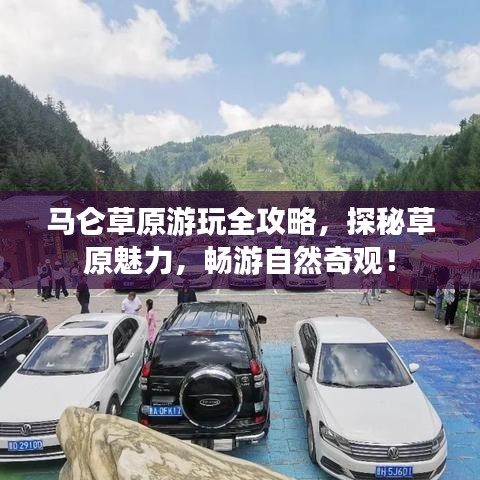 马仑草原游玩全攻略，探秘草原魅力，畅游自然奇观！