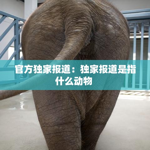 金石为开 第2页